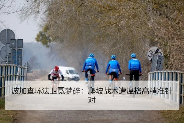 波加查环法卫冕梦碎：爬坡战术遭温格高精准针对