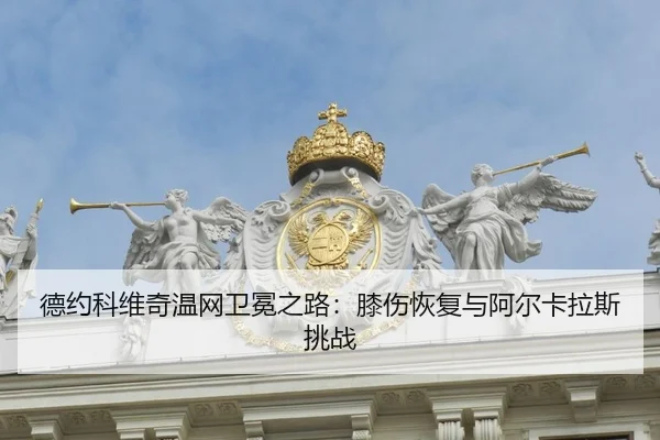 de-yue-ke-wei-qi-wen-wang-wei-mian-zhi-lu-xi-shang-hui-fu-yu-a-er-ka-la-si-tiao-zhan-2-654.jpg