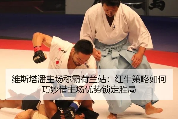 wei-si-ta-pan-zhu-chang-cheng-ba-he-lan-zhan-hong-niu-ce-lve-ru-he-qiao-miao-jie-zhu-chang-you-shi-suo-ding-sheng-ju-3-616.jpg