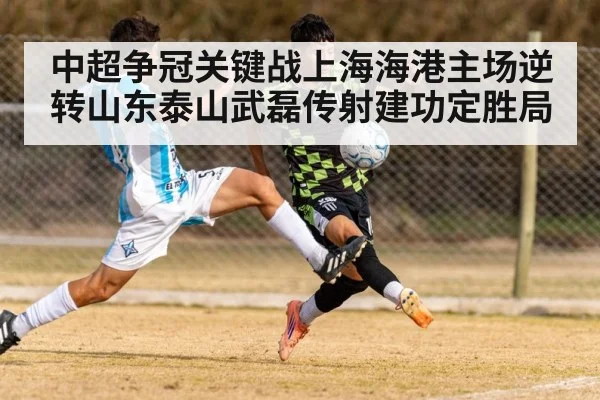 中超争冠关键战上海海港主场逆转山东泰山武磊传射建功定胜局