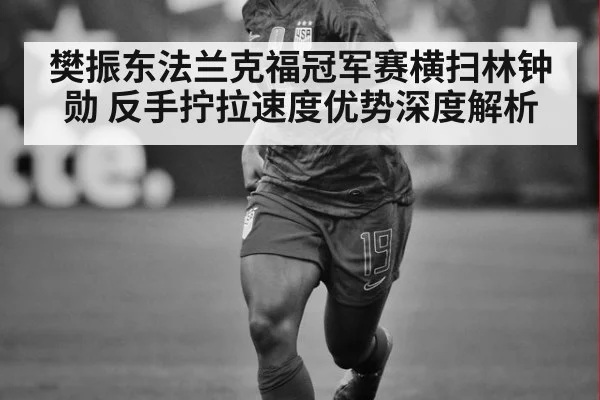 樊振东法兰克福冠军赛横扫林钟勋 反手拧拉速度优势深度解析
